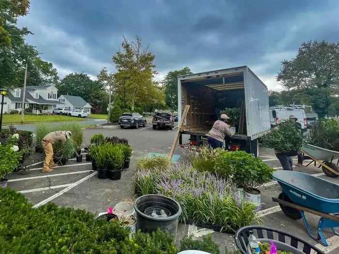 Commercial Landscape and Drainage project in hatboro, pa